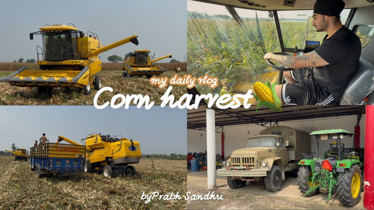 AJJ  3 COMBINA NAL VADDI MAKKI ||  TE KHETA VICH KITA KAM!!