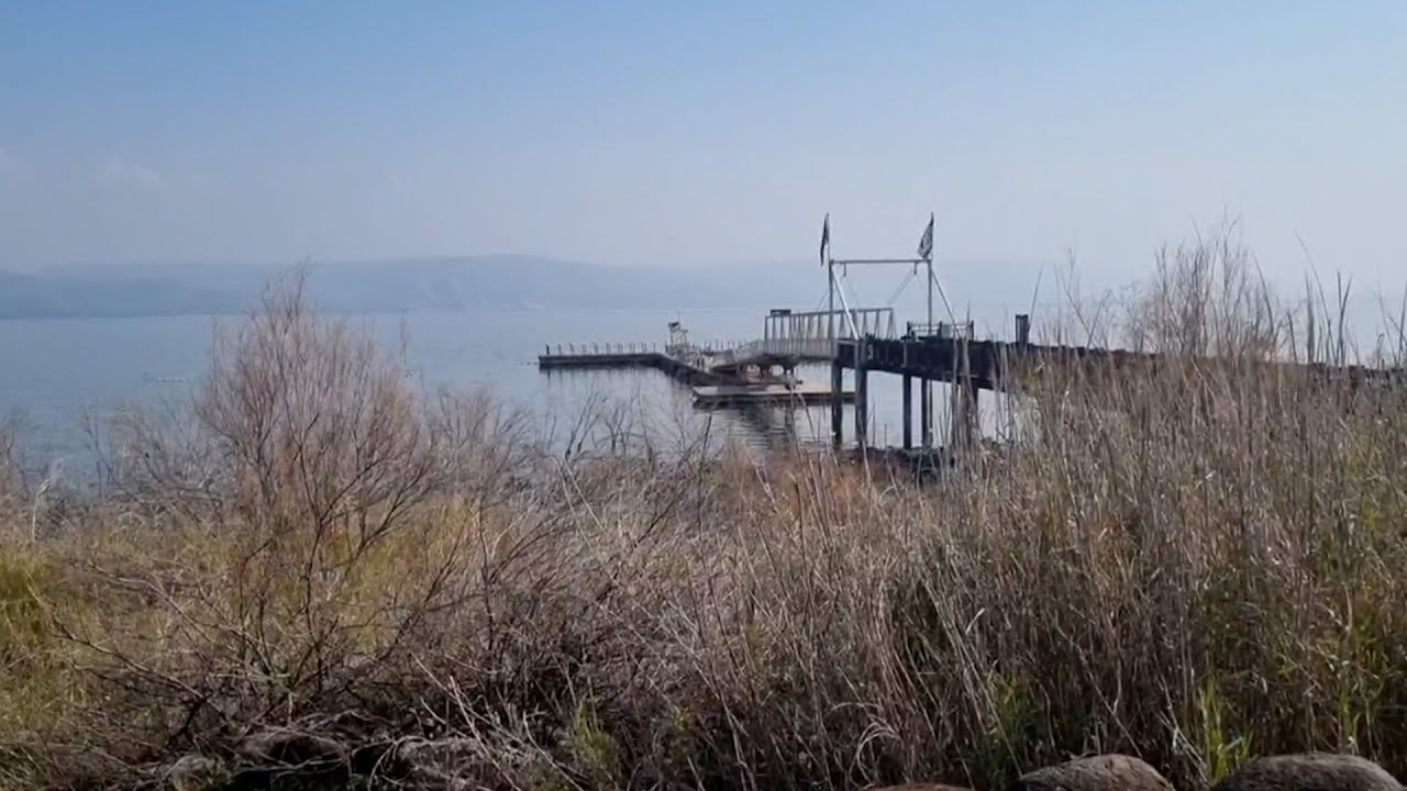 טיול גליל: נבל דוד לצד פריחה בכנרת