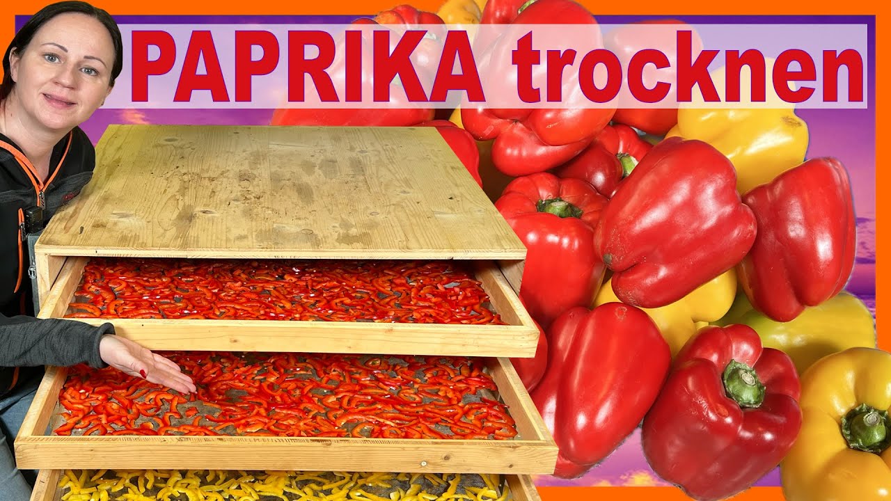 Paprika trocknen mit der Kräutercube schonend unter 30 Grad mit Infrarot #paprika #gemüse #rezept