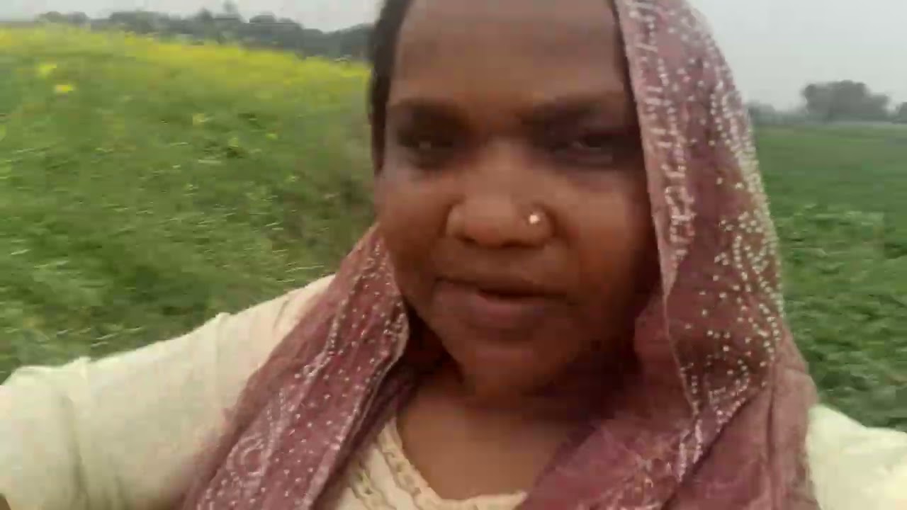 मटर