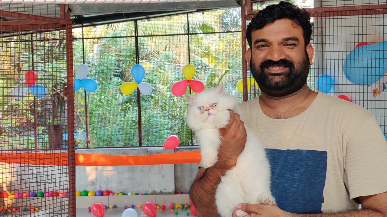 🐈മീനുവിന് വേണ്ടി ഞങ്ങൾ പുതിയ വീട് ഉണ്ടാക്കി | Ebadu Rahman Cat New home