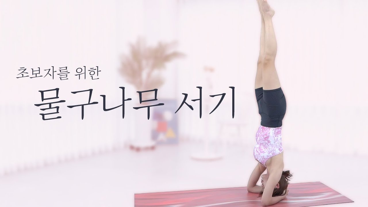물구나무 서는 법 알려드려요. 물구나무 서기 / 물구나무 자세