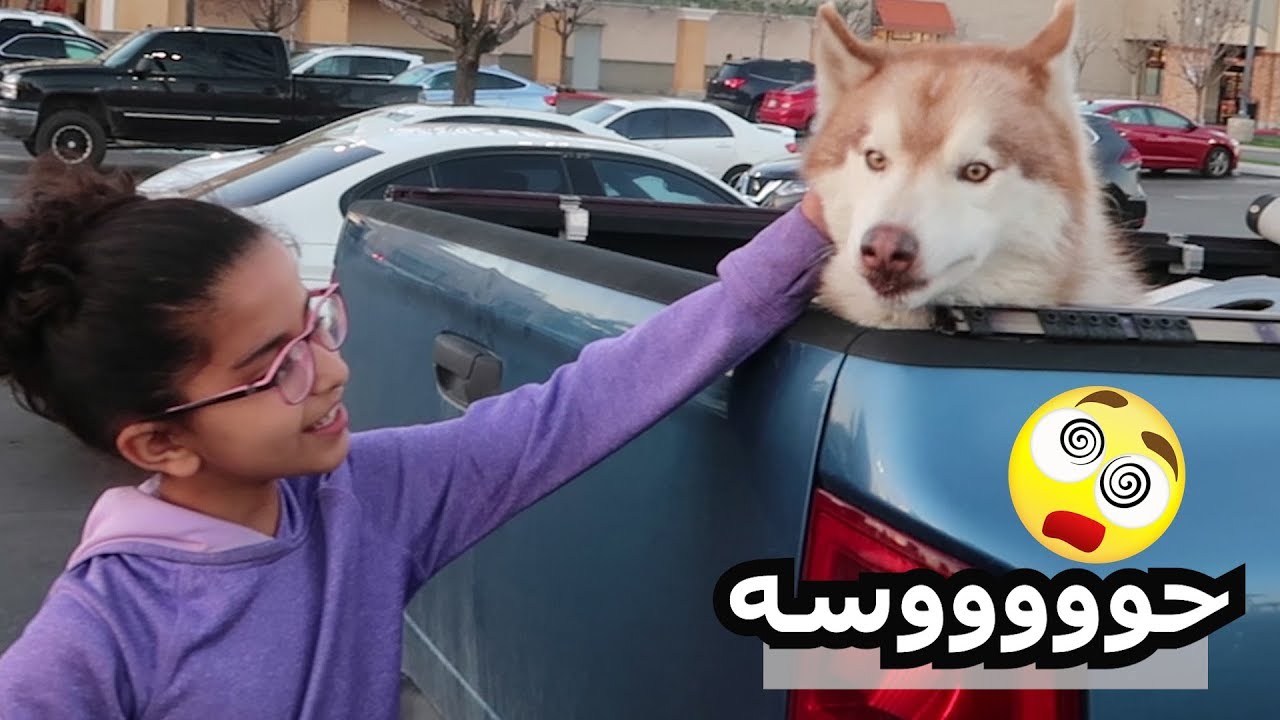 ابو كشة رجع للدمار