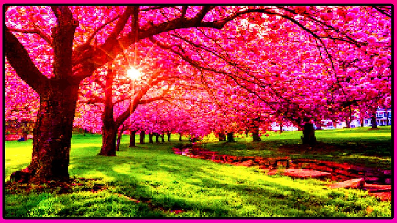 Vivaldi - Four Seasons : Spring - Synthesizer Soundfont