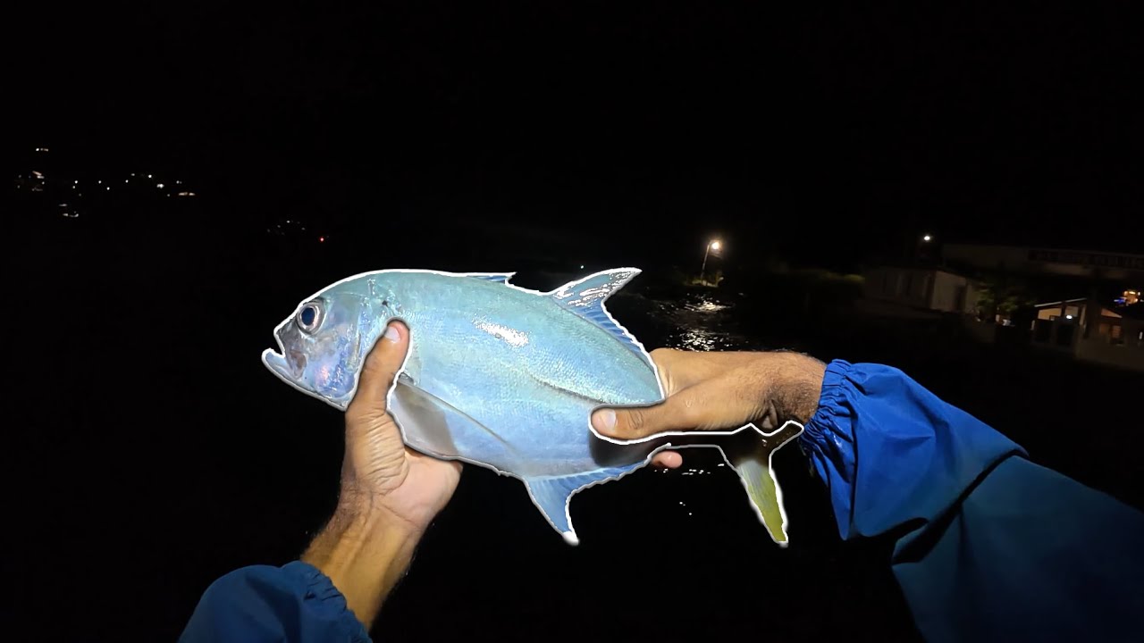 Night fishing from the docks
