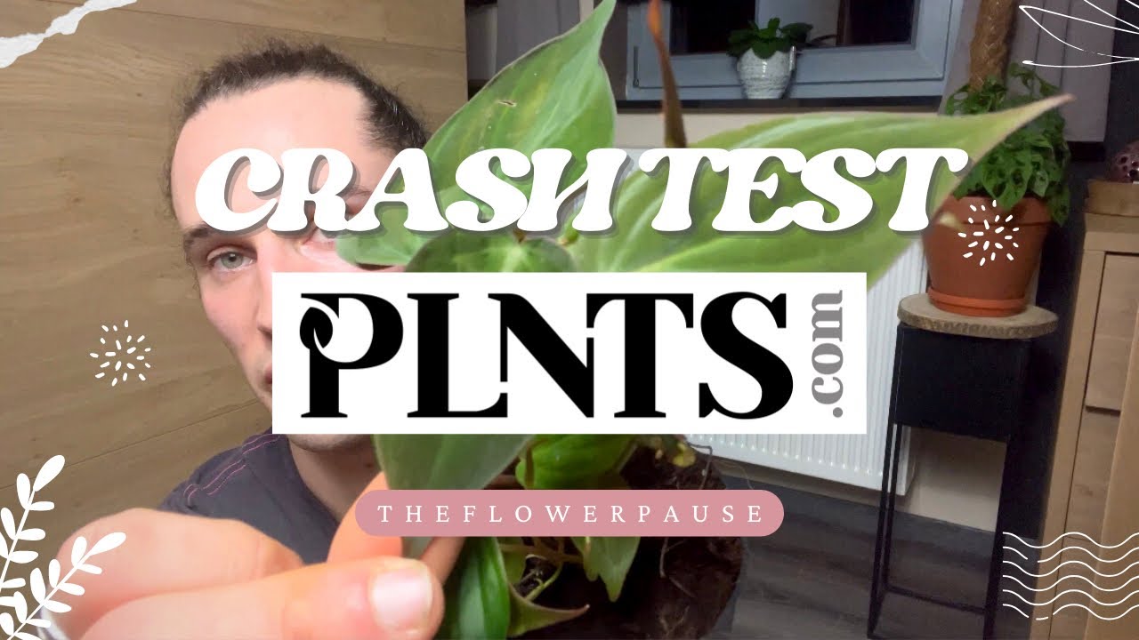 CRASH TEST & UNBOXING: PLNTS.COM MON AVIS !