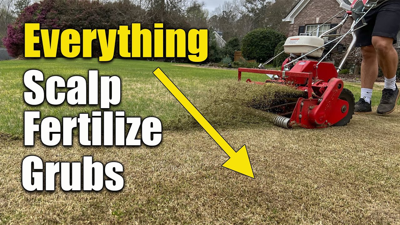 Spring Lawn Scalp Fertilizer and Grub Treatment