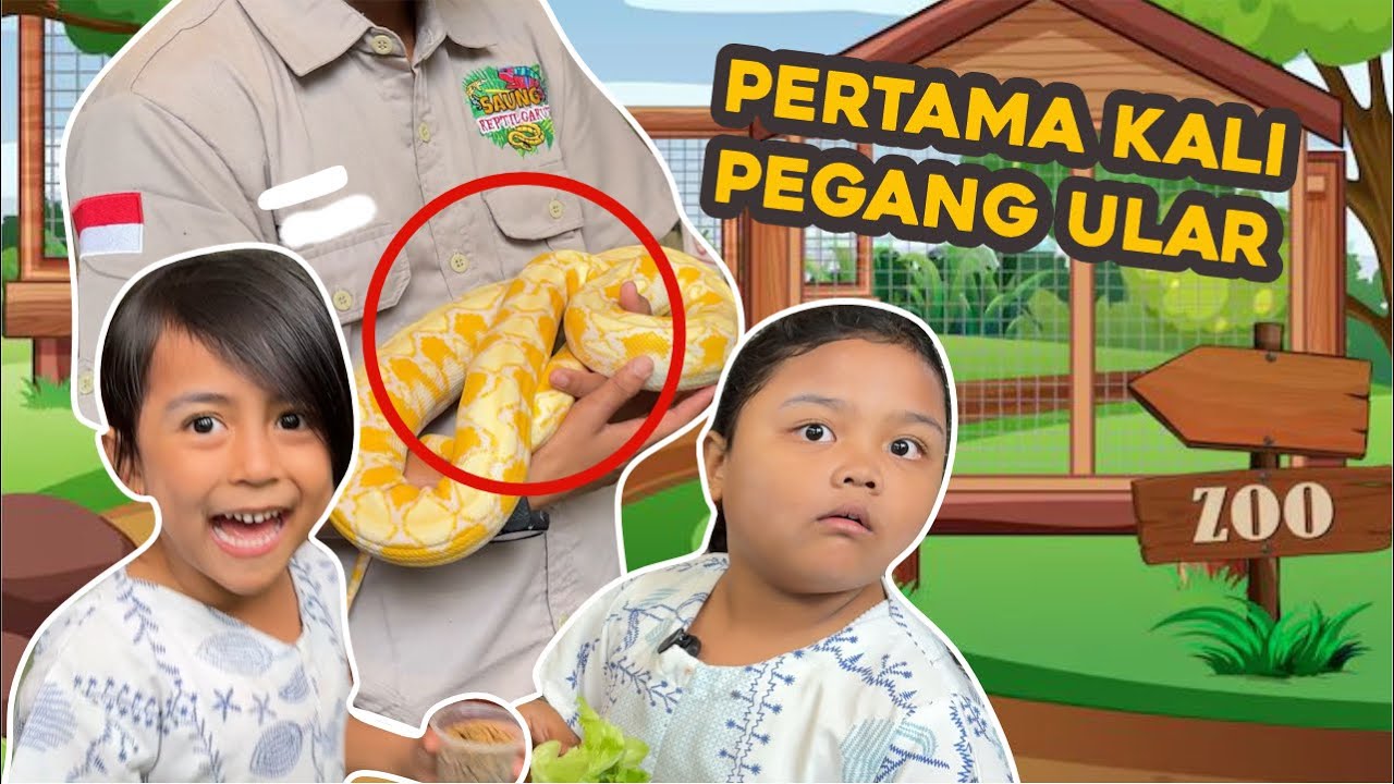 ShabiraKaka pertama kali pegang ULAR 😲,ujung ujungnya MUKBANG pete Gimana yaaa rasanya 😍
