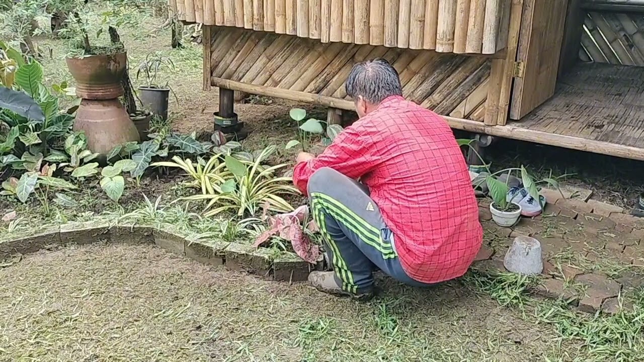 Ibabahagi ko sainyo ginawa ko sa bukid