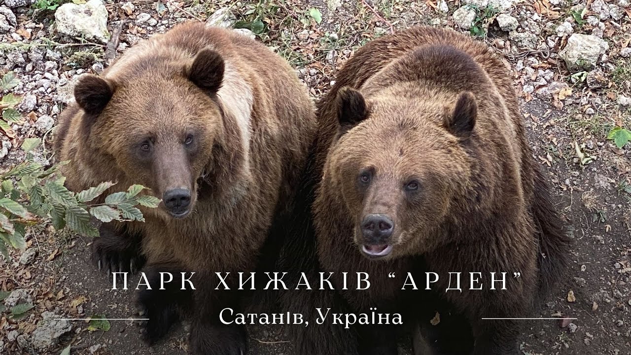 Парк хижаків 