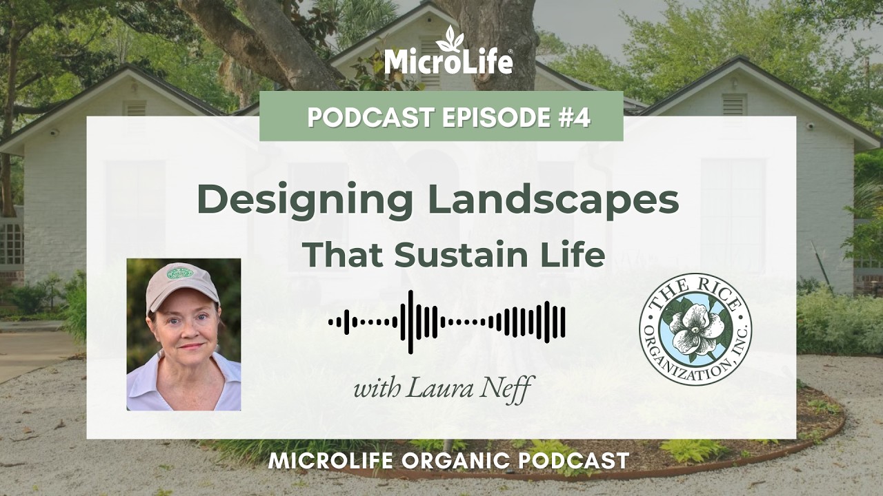 PODCAST EP4: No Bee No Me -  Designing Landscapes that Sustain Life - Laura Neff