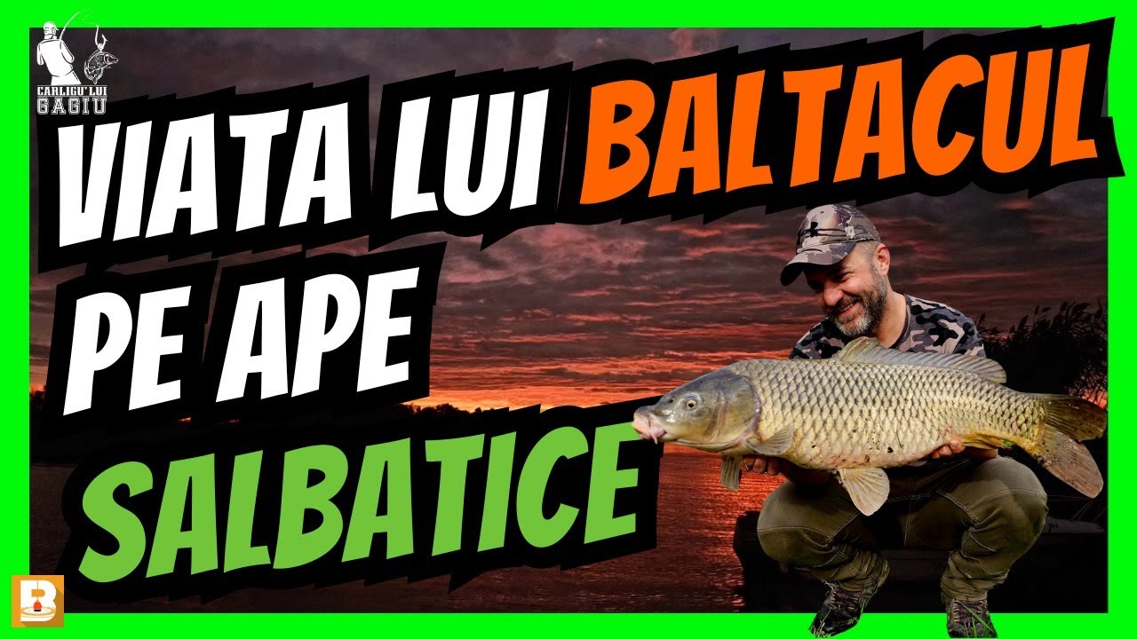 Pescuit pe DUNARE la CRAP cu PERIPETII si VREME RECE! Baltacul ne DESCRIE VIATA pe SALBATIC!