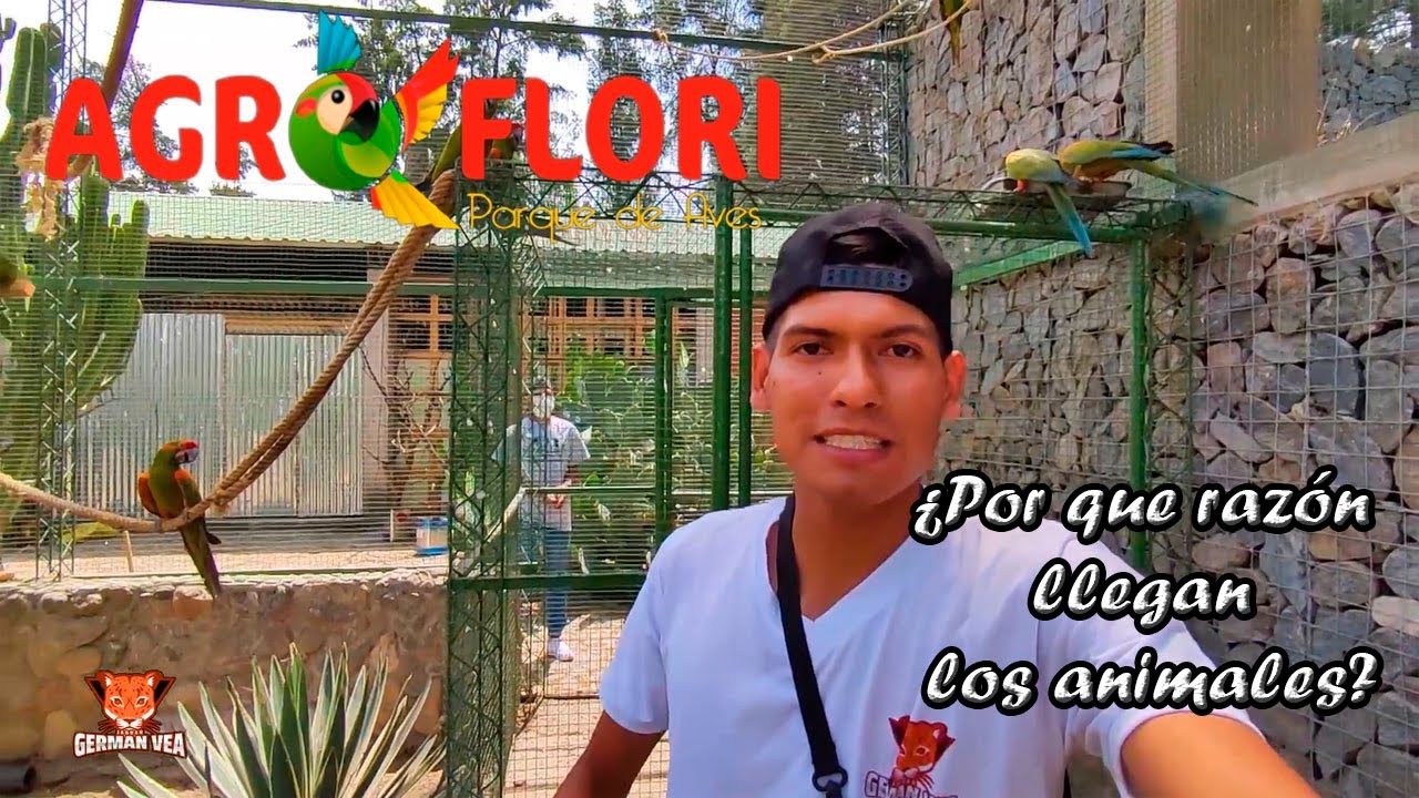 visita a Parque de aves Agroflori -- Cochabamba_Bolivia