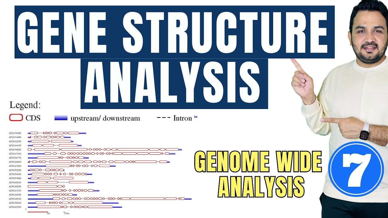 Gene structure analysis | UTR CDS | Intron Exon | Genome wide analysis tutorial 7