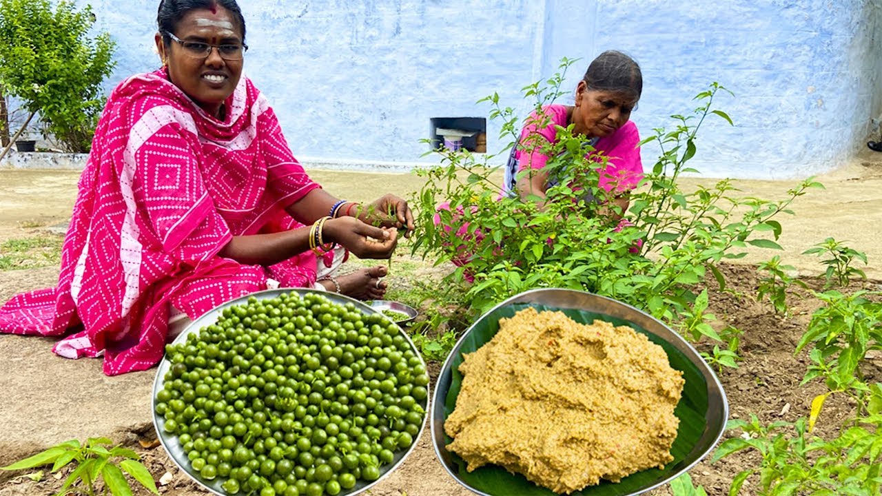 மணத்தக்காளிக்காய் சட்னி - இந்த காயில் இப்படி ஒரு முறை சட்னி செய்யுங்கள் / Manathakaali kaai Chutney