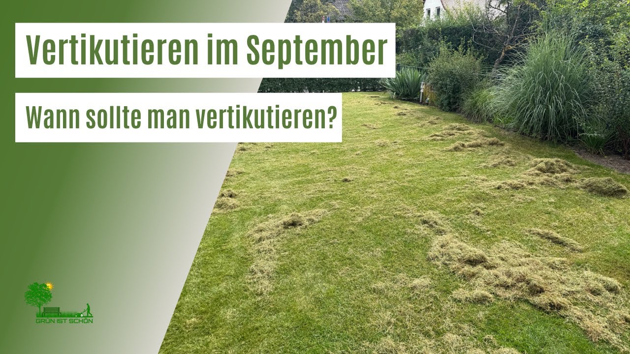 Vertikutieren im September | Wann ist vertikutieren sinnvoll? So verhinderst du Rasenfilz!