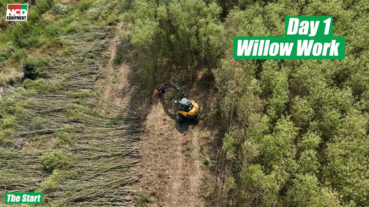 TMK Tree Shear & Mecalac 8MCR Willow Work : Day 1