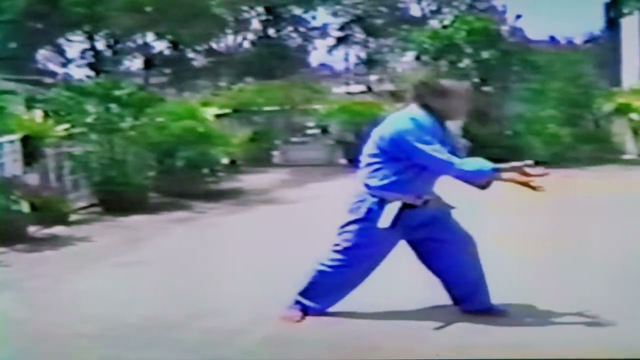 Hạc quyền. Võ sư Chưởng Môn Lê Sáng