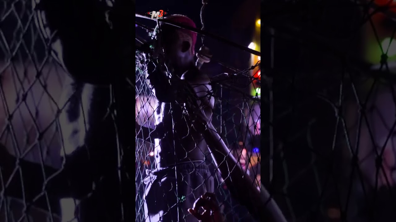 Portable almost brought down the shrine during his performance at #felabration2024 #portable