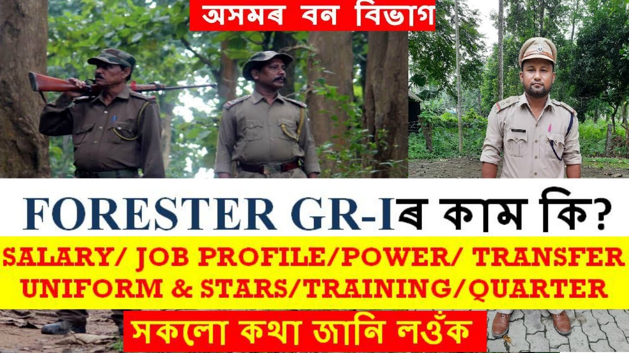 FORESTER GR-I ৰ কাম কি? | ЗАРПЛАТА/ПРОФИЛЬ ДОЛЖНОСТИ/ПОЛНОМОЧИЯ/ПЕРЕНОС/ЗВЕЗДА/УНИФОРМА - ВСЕ ПОД...