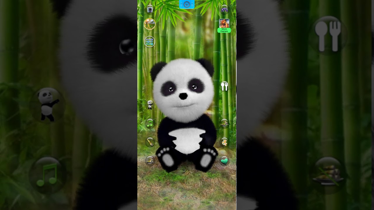 Talking Panda/ #2 funny 🐼🐼🐼🐼🐼🐼🐼