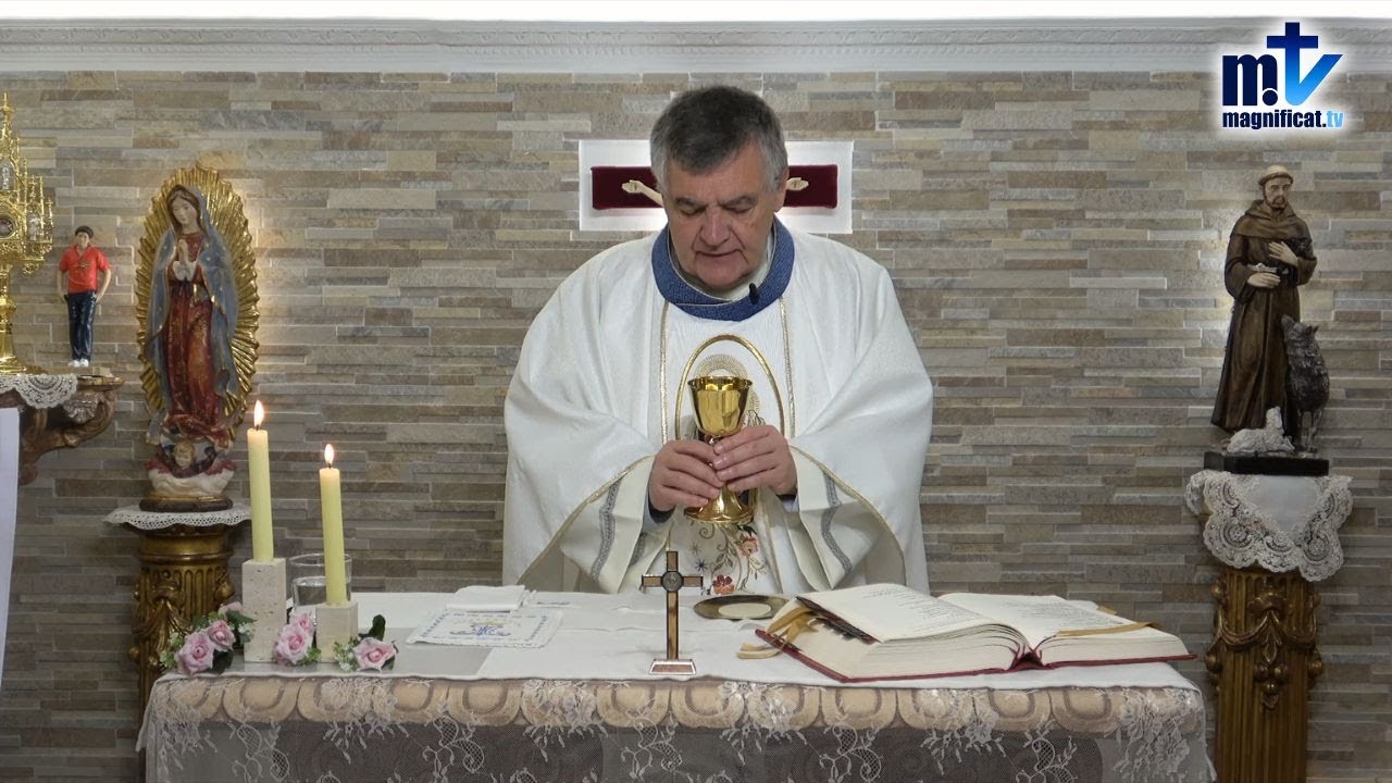 La Santa Misa de Hoy | Bienaventurada Virgen María de Lourdes (11-02-2026) | P. Santiago Mártin, FM