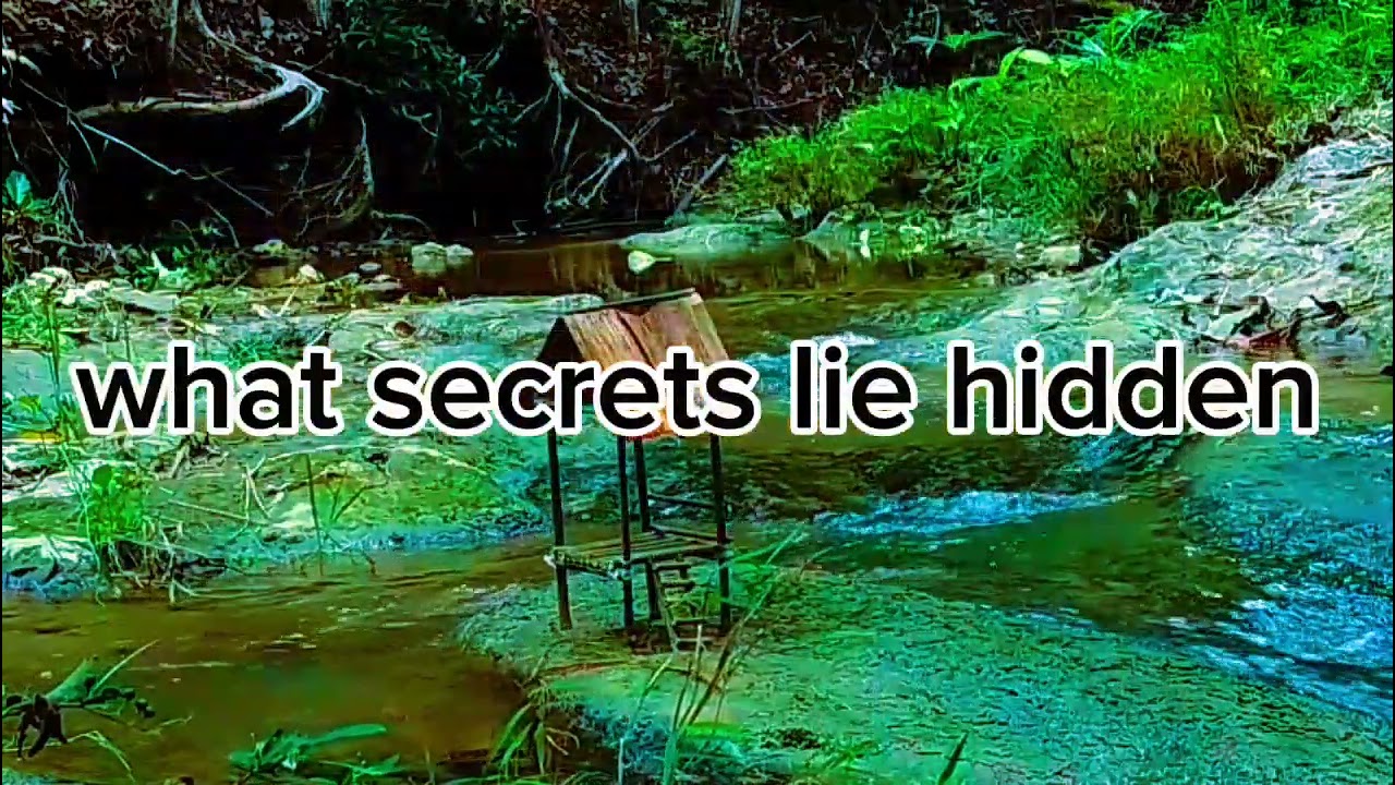 The hidden part in the enchanted forest