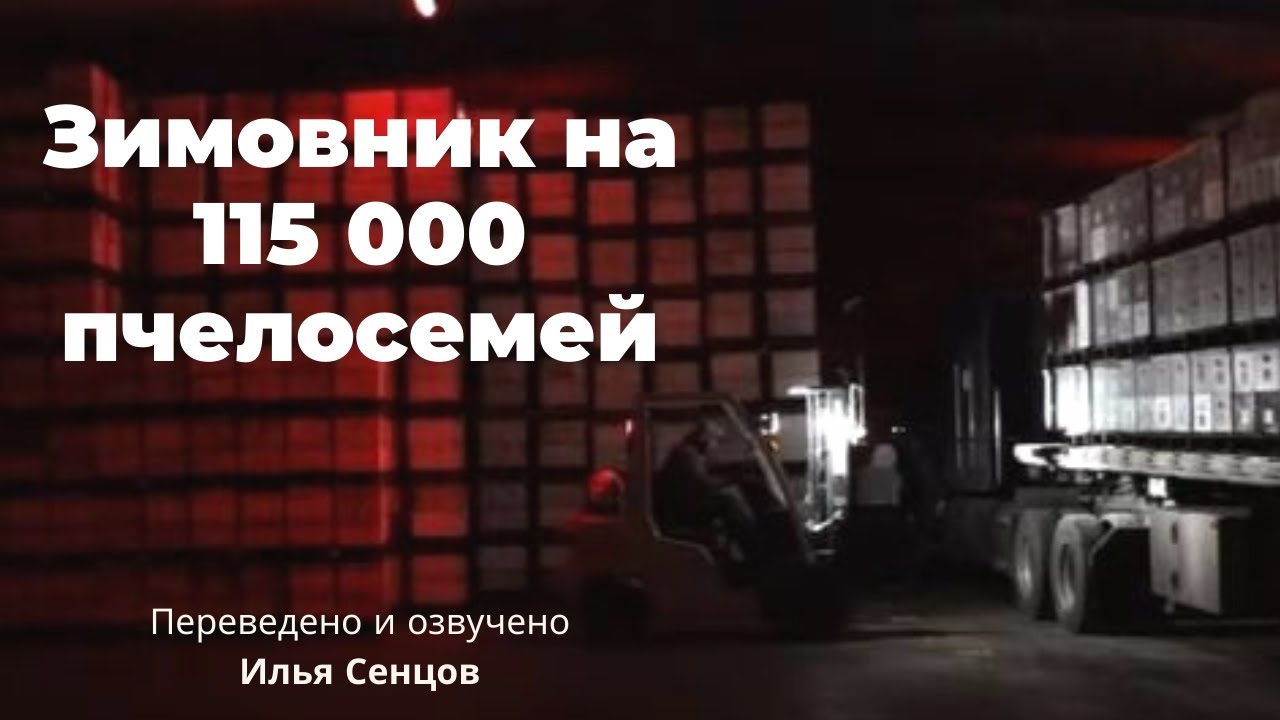 Зимовник на 115 000 пчелосемей - 