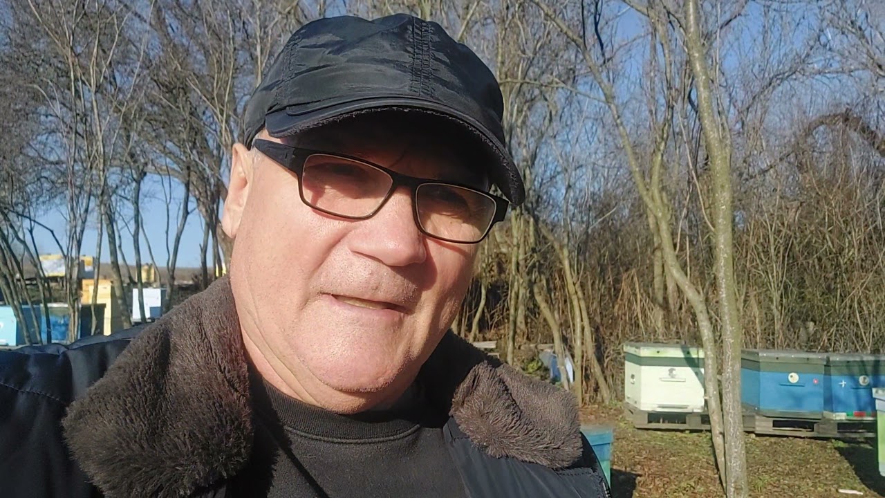 Вечный спор, какой улей выбрать.