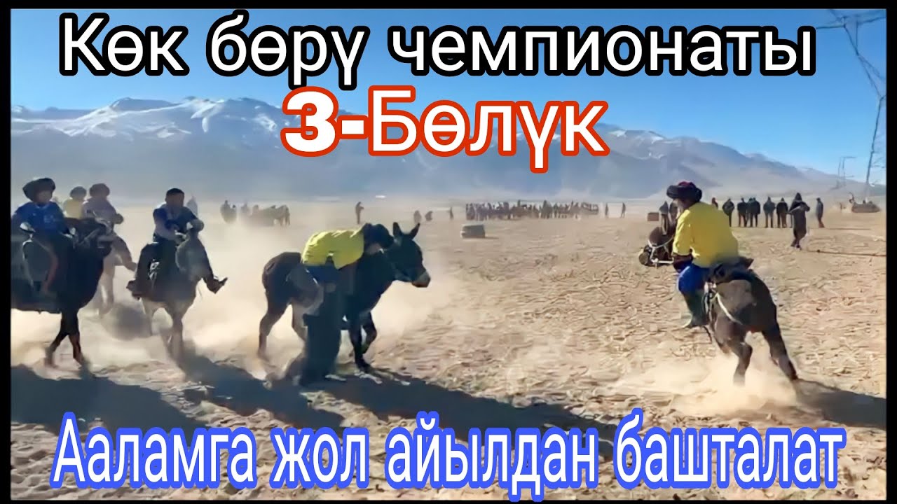 Көк бөрү чемпионаты Нарын облусу Кочкор району Ара-Көл Айылы #көкбөрү #аламанулак #myrza official1