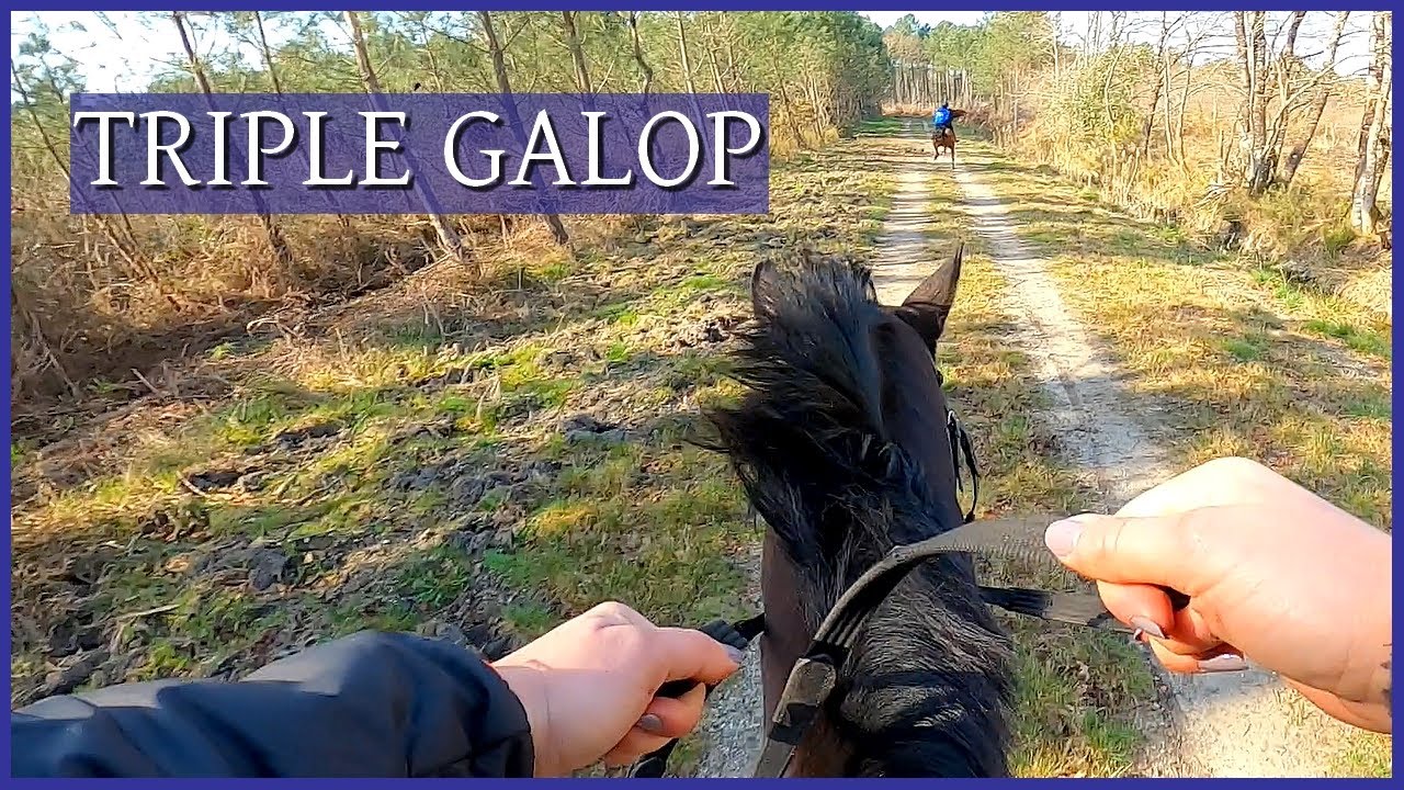 IL NE FAUT PAS FAIRE LA COURSE AU GALOP AVEC CE CHEVAL ! - Balade avec de nouveaux copains !