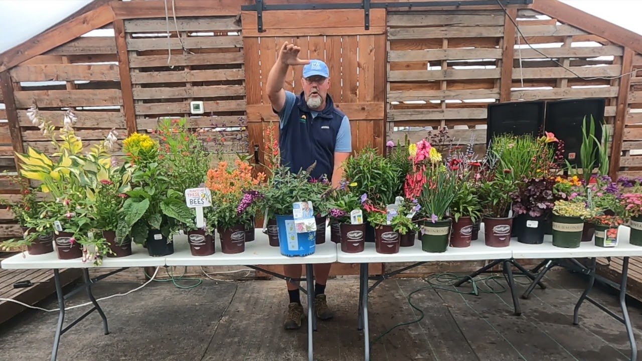 Perennials & Pollinators