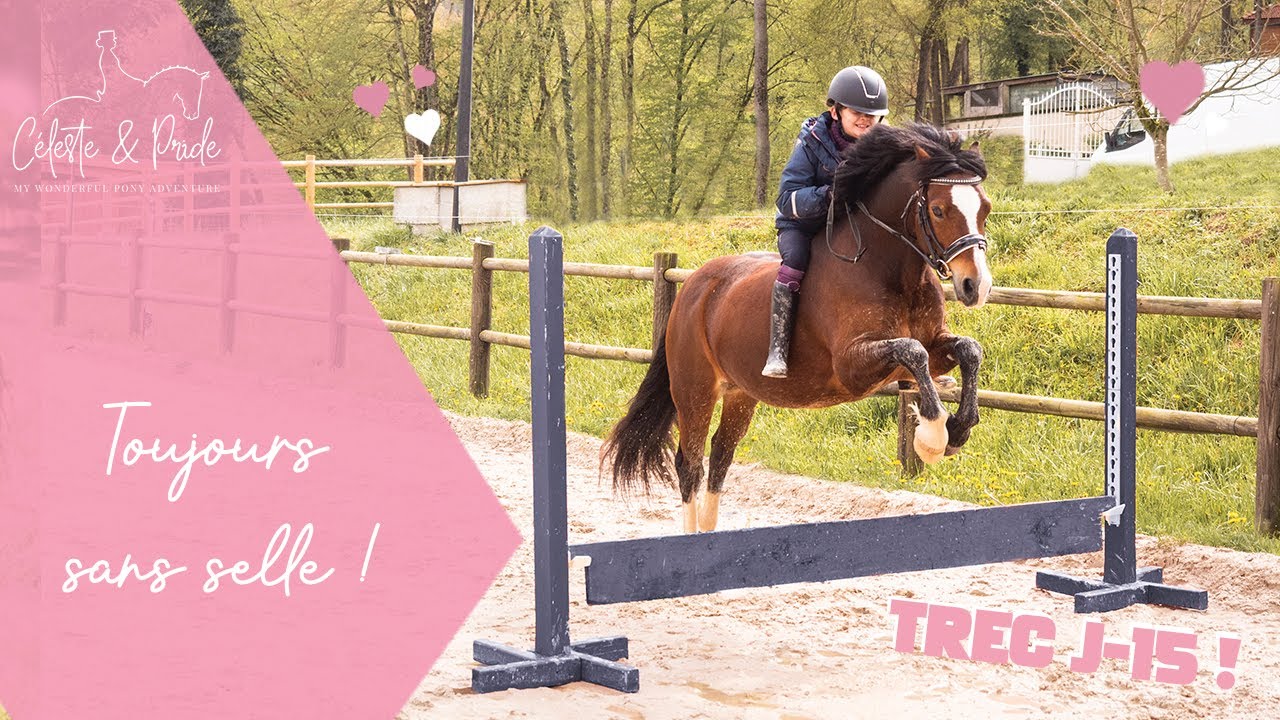 Premier entrainement de TREC 🪵 On part en concours dans 15 jours !