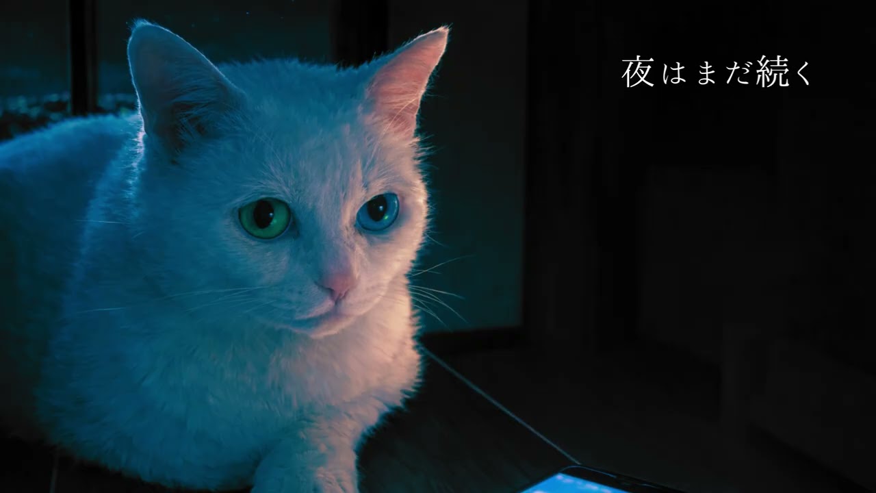 夜はまだ続く｜The night goes on｜Lo-fi Chill