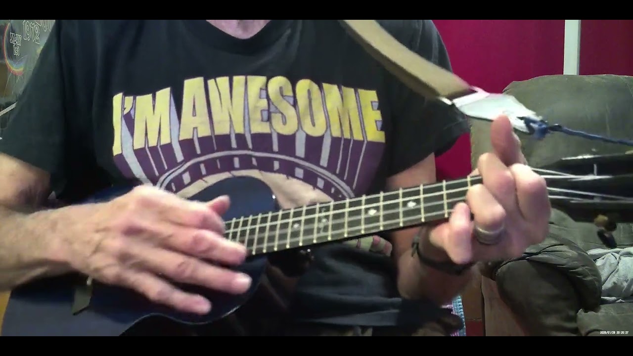 Cover of Pigs on the wing part two by  Pink Floyd on tenor ukulele