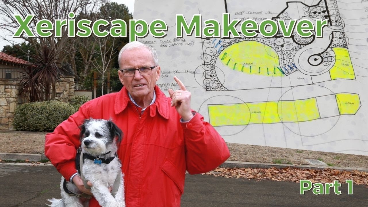 Преображение переднего двора в стиле Xeriscape (Шаг 1: Ландшафтный дизайн)
