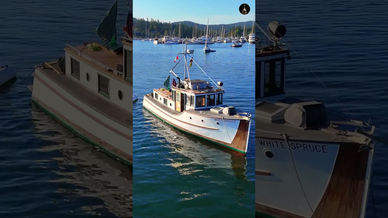 Classic Boat Legacy 🌊 “White Spruce” (1932) Anchored off Orcas Island | San Juan Islands Drone View
