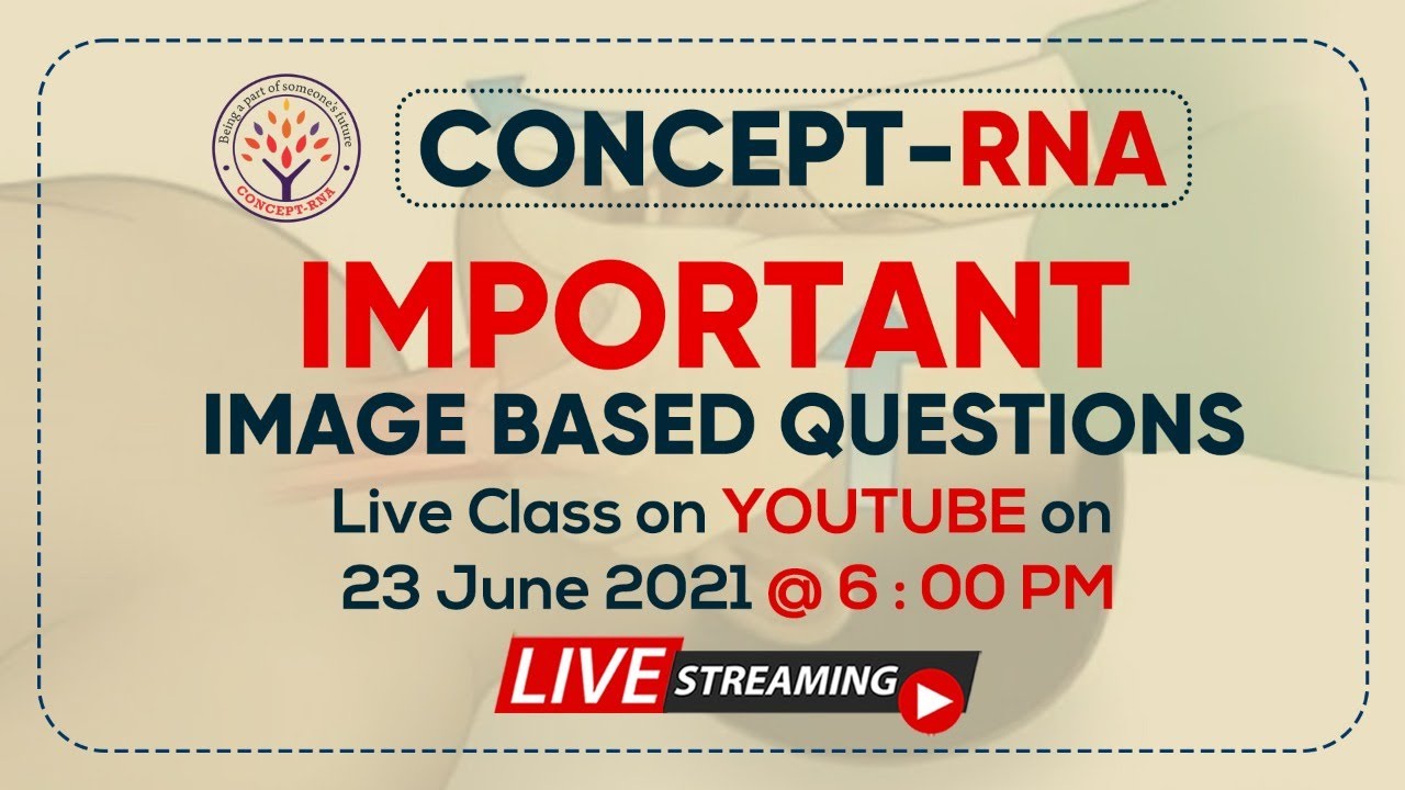 IMPORTANT IMAGE BASED QUESTIONS | Concept RNA