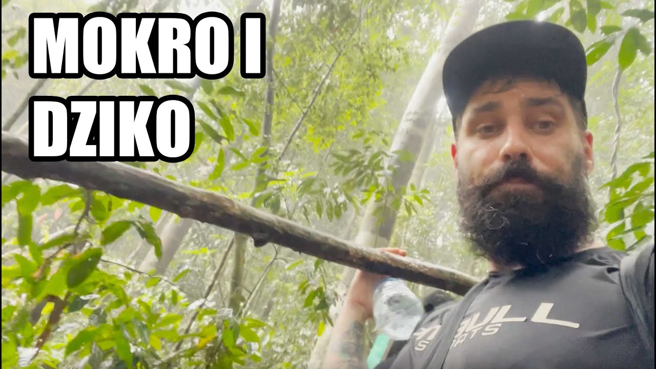 INDONEZJA SUMATRA - NOCLEG W DŻUNGLI - DZIKIE ORANGUTANY I OGROMNE PAJĄKI!