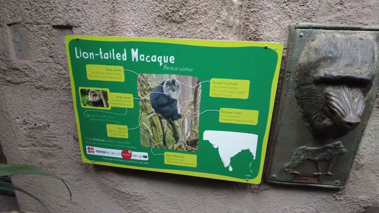 Monkey House - Chester Zoo