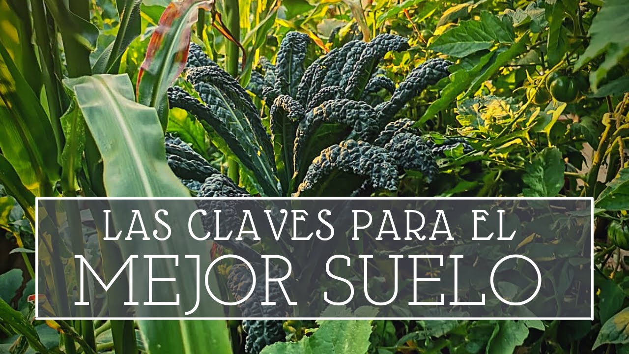 Cómo mejorar el suelo del huerto... Lo que nadie te cuenta!