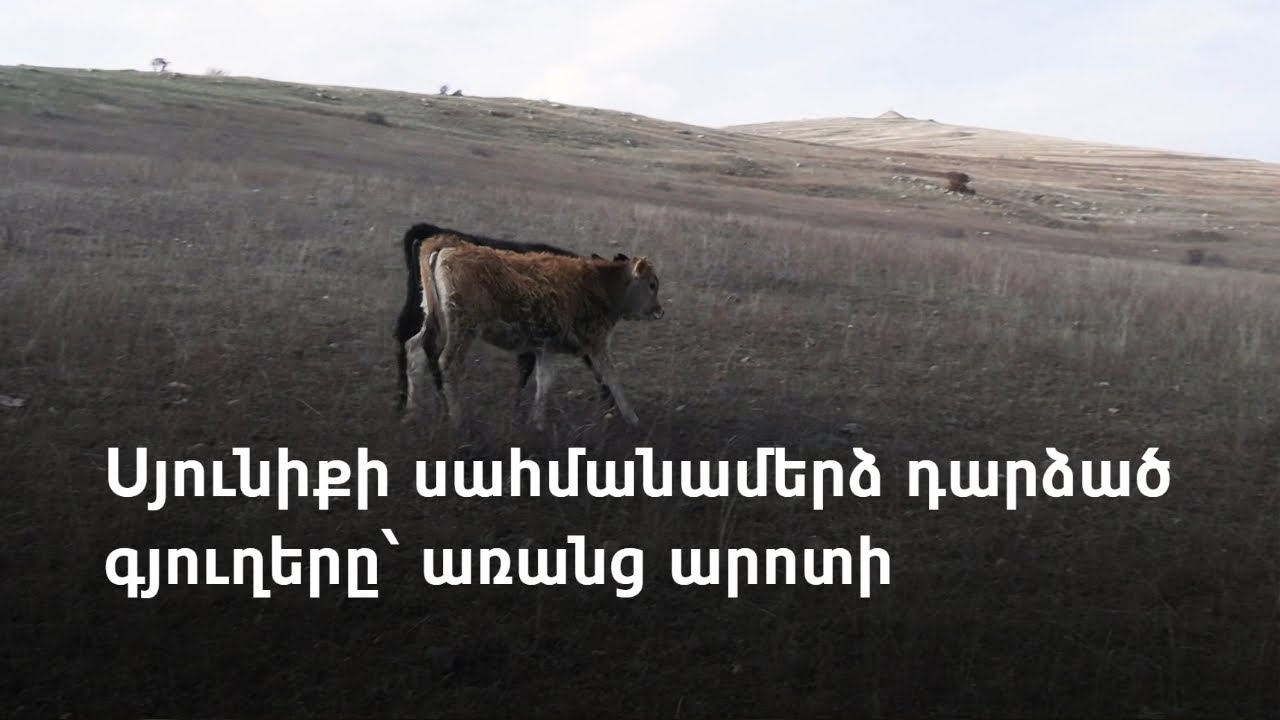 Սյունիքի սահմանամերձ դարձած գյուղերը՝ առանց արոտի