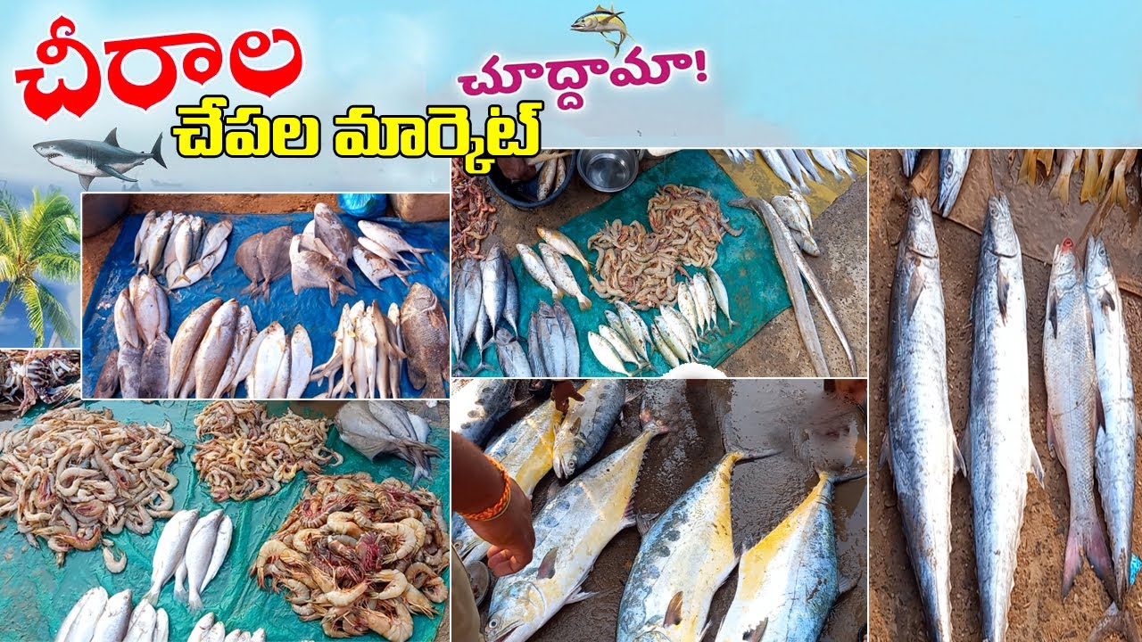 Chirala Fish Market 🐟🦈 Chirala Beach #Odalarevu beach