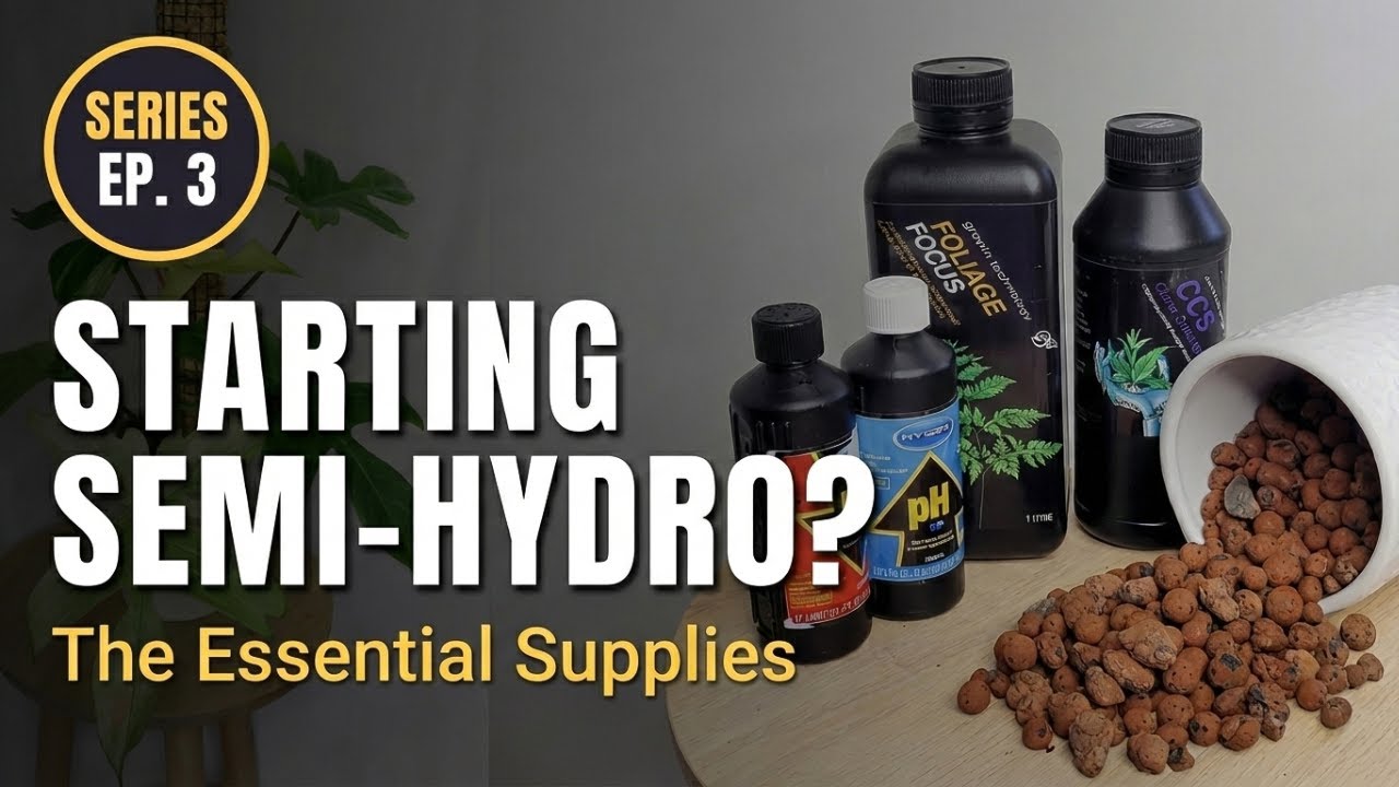 Growing in Leca (Ep 3): What You Need to Start Semi Hydroponics