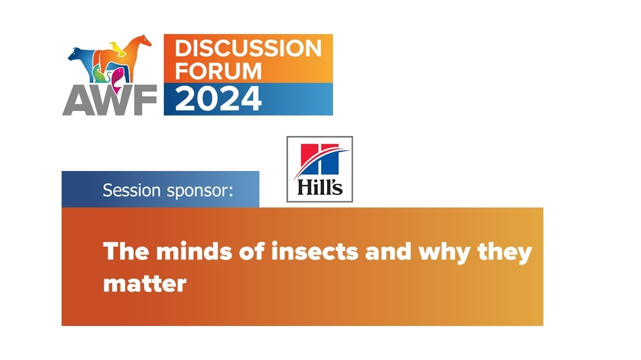 Discussion Forum 2024: The minds of insects and why they matter