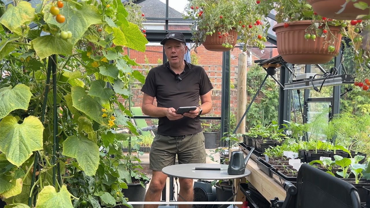 What I’m sowing and growing in July