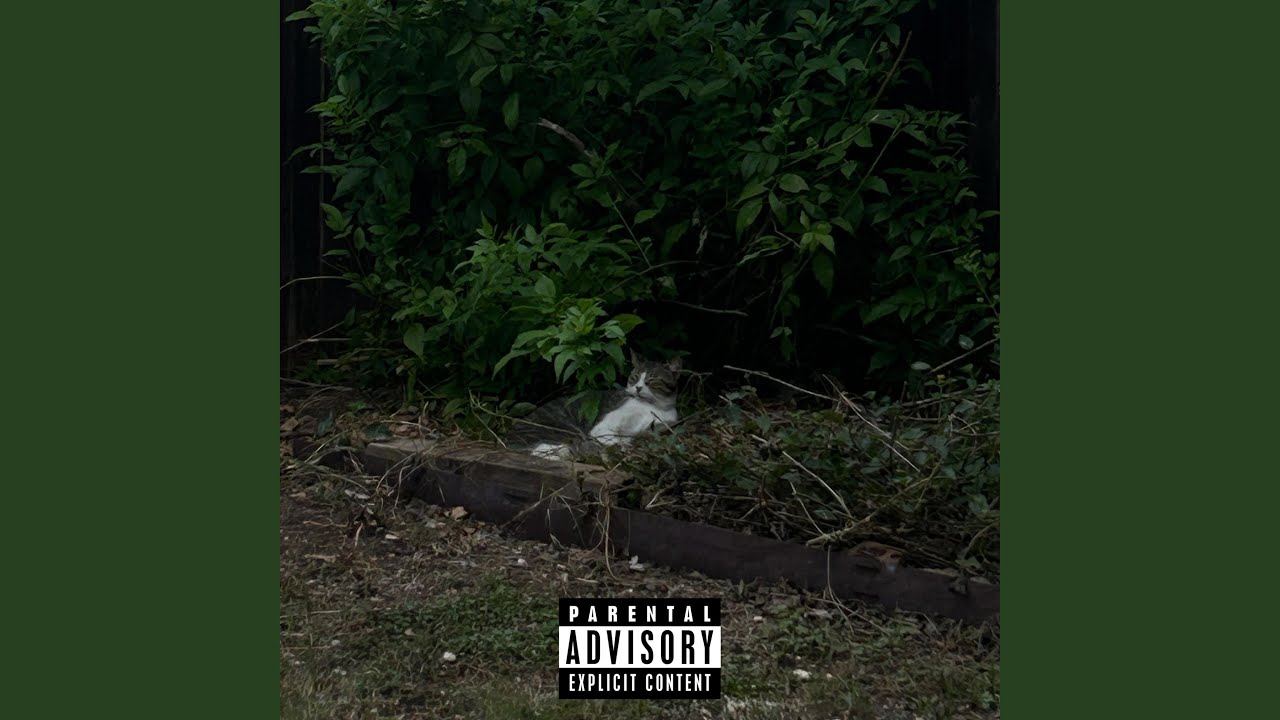 bs (feat. slay ultra)