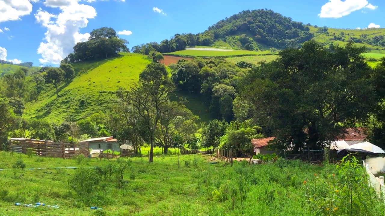 Nossa Vida Simples e Cheia de Fartura no Interior de Minas Gerais/ Vida na Roça/ Sítio/ Lifestyle