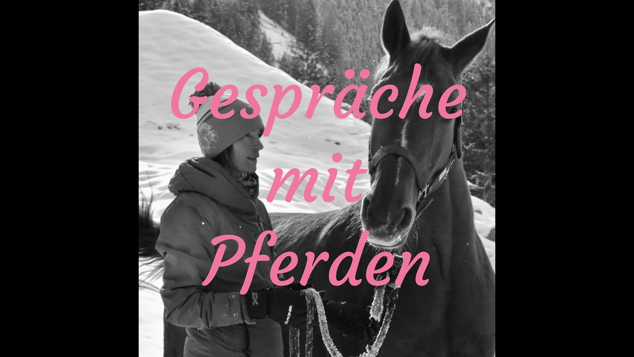 #36 Sonderfolge Hufe
