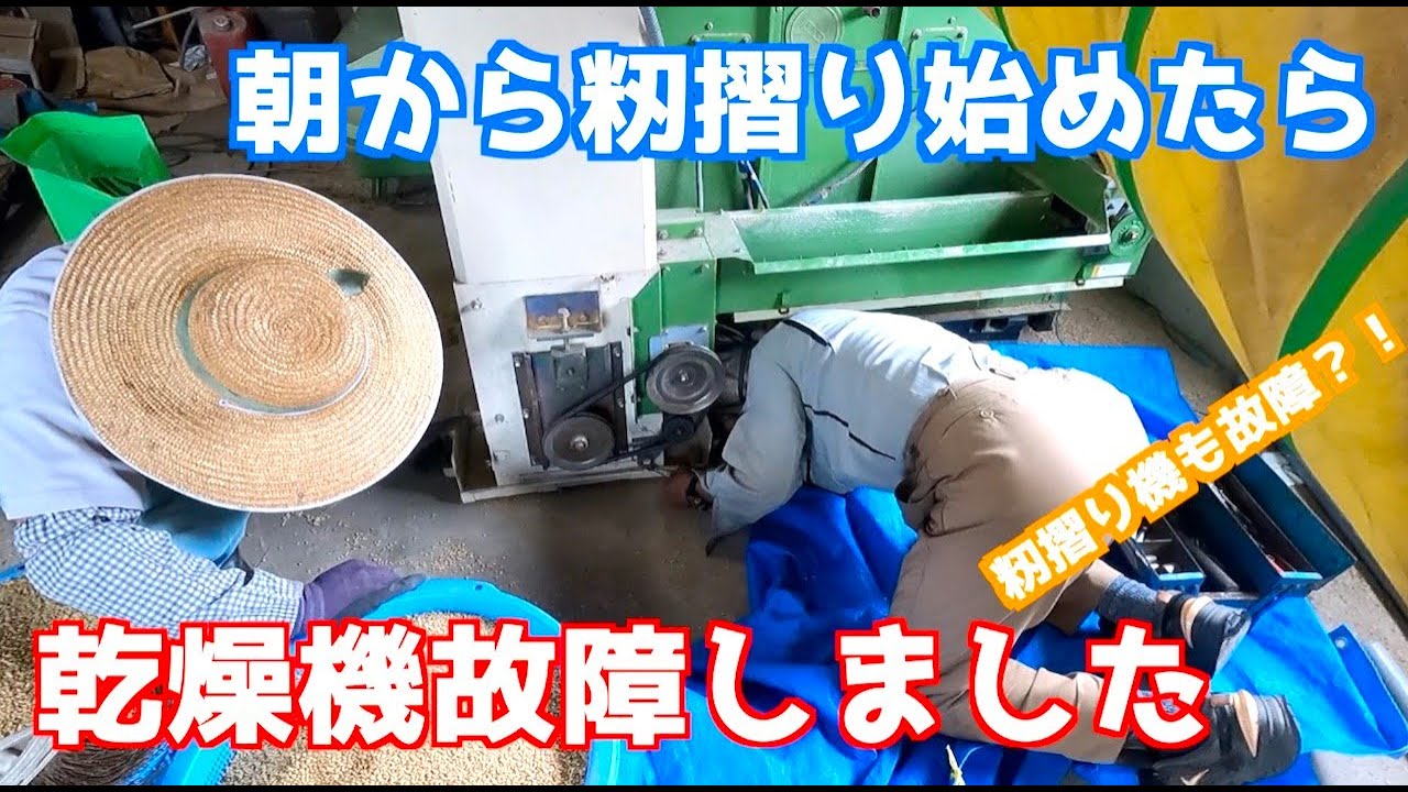 朝から籾摺り始めたら乾燥機が故障しました。